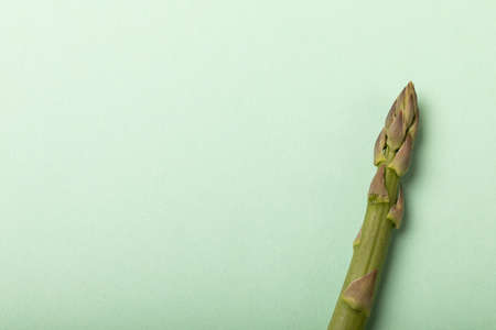 Overhead view of fresh single asparagus vegetable by copy space against blue background. unaltered,...