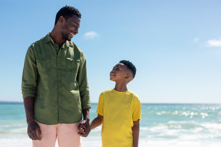 Happy african american father and son looking at each other while holding hands against blue sky. unaltered, family, lifestyle, togetherness, enjoyment and holiday concept.の写真素材
