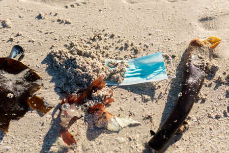 High angle view of abandoned face mask with kelps on sand at beach during sunny day. unaltered,...