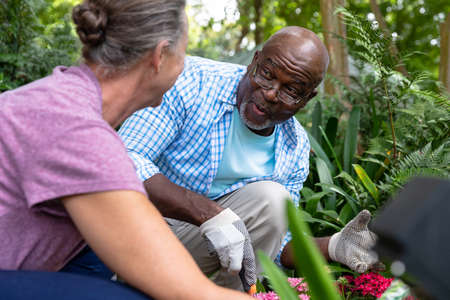 Happy multiracial senior couple planting together in backyard. unaltered, lifestyle, retirement, togetherness, hobbies, active seniors, environment, gardening.の写真素材