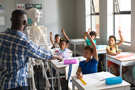 African american young male teacher explaining skeleton to multiracial elementary students in class....