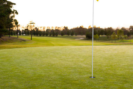 Flagstick in hole amidst grassy landscape against trees and clear sky during sunset, copy space. unaltered, green, golf course, sport and nature concept.の写真素材
