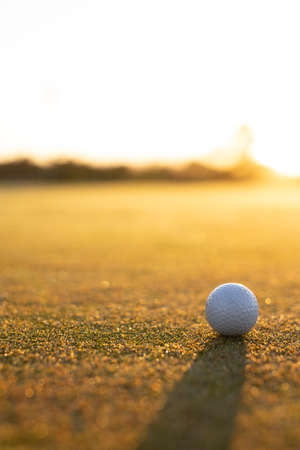 View of golf ball on grassy landscape against clear sky during sunset, copy space. green, unaltered, golf course, sport and nature concept.の写真素材