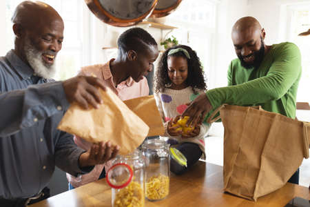 Image of happy african american multi generation family unpacking shopping bags. Family and spending...