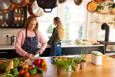 Image of happy caucasian mother and adult daughter preparing meal in kitchen. Family and spending quality time together concept.の写真素材