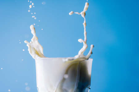 Close-up of spilled milk from glass against blue background, copy space. unaltered, food, drink, studio shot and healthy food concept,の写真素材
