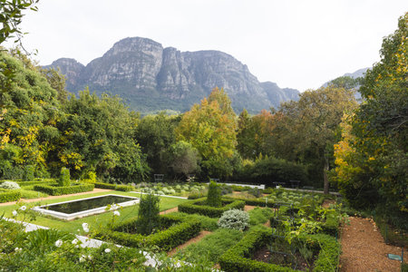 Beautiful home garden with plants, pond, flowers and trees near mountain landscape, copy space. Nature, fall and landscape.の写真素材