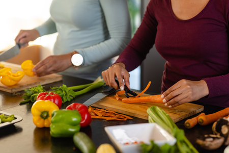 Mid section of biracial lesbian couple chopping vegetables in kitchen. Cooking, food, healthy...
