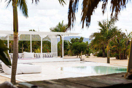 Swimming pool and deck with outdoor furniture and palm trees at tropical beach resort, copy space. Leisure, luxury, nature, summer and vacations.の写真素材