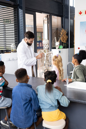 Vertical of diverse male teacher and schoolchildren studying skeleton in biology class, copy space. Education, inclusivity, elementary school and learning concept.の写真素材