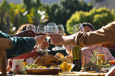 Happy diverse male and female friends toasting during thanksgiving celebration meal in sunny garden....