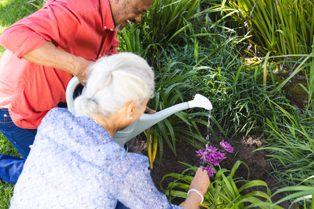 Diverse senior couple gardening in sunny garden. Lifestyle, retirement, senior lifestyle, nature, gardening, togetherness and domestic life, unaltered.の写真素材