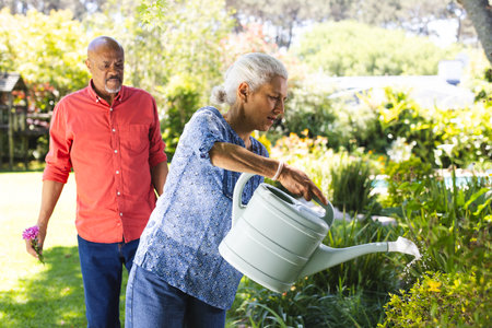 Diverse senior couple gardening in sunny garden. Lifestyle, retirement, senior lifestyle, nature, gardening, togetherness and domestic life, unaltered.の写真素材
