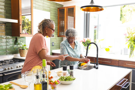 Senior African American woman and senior biracial woman are washing vegetables in a kitchen. They are surrounded by various ingredients, suggesting meal preparation in a home setting.の写真素材