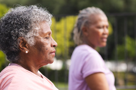 Senior African American woman and senior biracial woman stand outdoors, both with gray hair. They are dressed casually, reflecting a moment of relaxation or contemplation in a serene setting.の写真素材