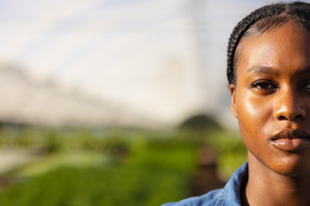 African American woman working at hydroponic farm, focusing on plants, copy space. Agriculture, farming, organic, sustainability, greenery, technology, unalteredの写真素材