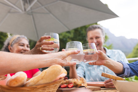 Diverse senior female friends toasting with drinks outdoors. Biracial woman with short gray hair,...