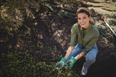 Hispanic woman kneeling beneath olive tree on black tarp, harvesting olives with gloves, copy space. Orchard, harvest, fruit, organic, rustic, outdoor, sustainabilityの写真素材