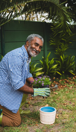 Senior African American man kneeling in garden holding purple potted plant beside white planter. Gardening, outdoor, nature, horticulture, lifestyle, rustic, peacefulの写真素材