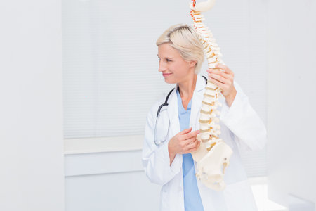 Female doctor wearing scrubs demonstrating spine model with stethoscope in exam room, copy space. Medical, healthcare, anatomy, educational, professional, clinical, trainingの写真素材
