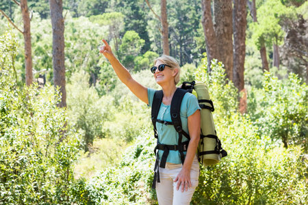 Senior woman walking on sunlit forest path carrying green sleeping pad, with sunglasses, copy space. Adventure, exploration, wilderness, nature, outdoor, trekking, tranquilityの写真素材