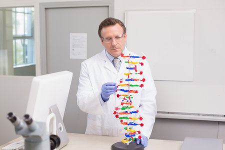 Male scientist wearing gloves and safety glasses examining plastic DNA model in lab with microscope....