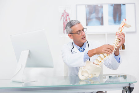 Middle-aged man doctor wearing lab coat examining spinal column model at glass-top desk in clinic. Medical, healthcare, education, professional, diagnostic, therapy, anatomyの写真素材