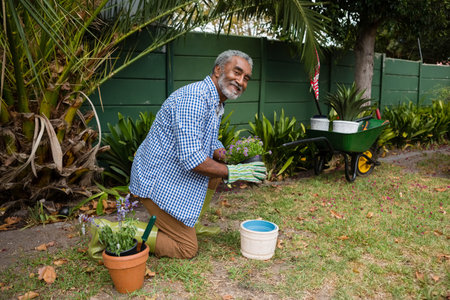 African American senior man kneeling in home garden planting flower with striped gardening gloves. Nature, horticulture, outdoor, tranquility, wellbeing, rustic, nurturingの写真素材