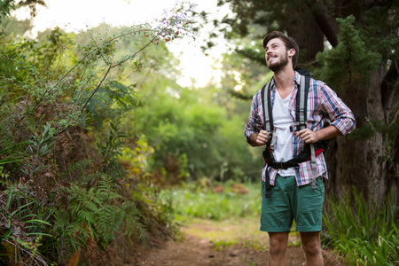 Man hiking along dirt trail under tall tree trunks, wearing backpack with chest straps, copy space....