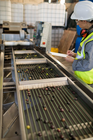 Factory inspector writing on clipboard by stainless steel conveyor carrying olives in factory. Industrial, inspection, machinery, automation, quality control, safety, productionの写真素材