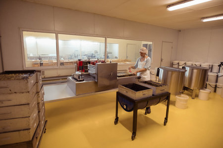 Woman handling product trays on stainless steel conveyor in food processing room, copy space....