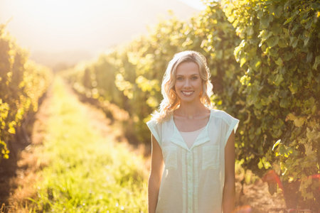 Woman standing in vineyard between vine rows along grassy path with distant hills. Landscape, wellness, relaxation, rural, natural, outdoor, serenityの写真素材