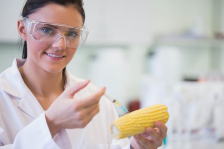 Female scientist wearing goggles injecting liquid with syringe into corn at lab bench, copy space. Researcher, biotechnology, experimental, innovation, scientific, modern, cleanの写真素材