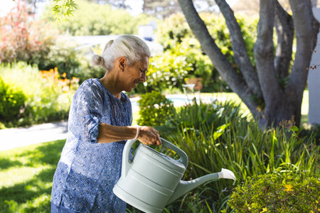 Mature adult woman pouring water from watering can onto flowering shrubs in home garden, copy space. Garden, outdoor, landscaping, leisure, tranquility, natural, rusticの写真素材