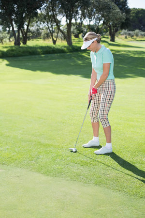 Female golfer standing on putting green preparing to putt ball with putter in sunlight, copy space....
