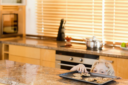 Boy leaning on granite island in home kitchen, grabbing chocolate chip cookie from tray, copy space. Cooking, baking, family, cozy, rustic, warmth, hobbiesの写真素材