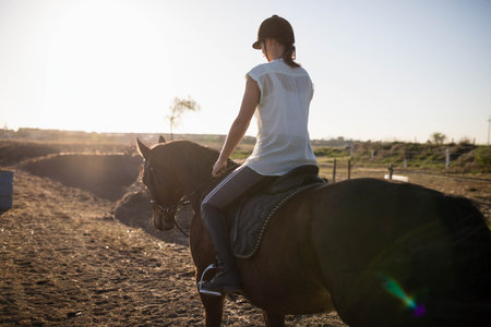 Female rider wearing brown helmet and holding reins sitting on saddled horse with bridle in paddock. Equestrian, outdoor, rustic, training, leisure, harmony, countrysideの写真素材