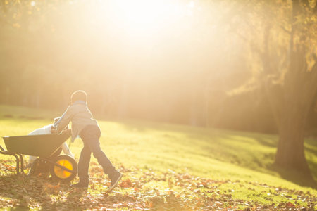 Male child pushing green wheelbarrow carrying white cloth across park field under warm sunlight. Nature, childhood, outdoor play, autumn, adventure, exploration, rusticの写真素材