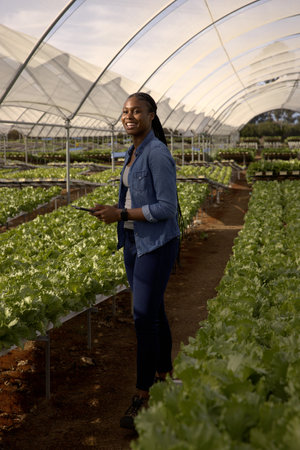 African American woman standing among lettuce benches in greenhouse holding digital tablet....
