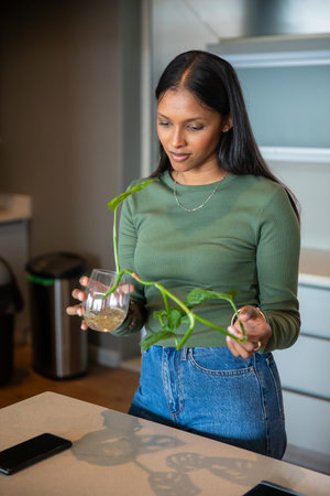 Mid adult Indian woman standing in home kitchen inspecting vine roots in glass vase with smartphone....