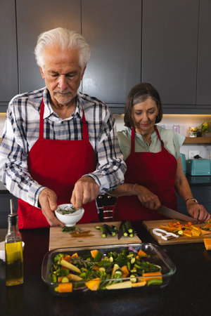 Senior couple wearing red aprons at kitchen countertop slicing vegetables into dish, holding herbs. Home decor, culinary, modern, lifestyle, cuisine, freshness, healthの写真素材