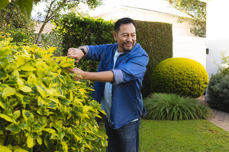 Mature Asian man in denim jacket wearing watch tending yellow-green hedge in front yard. Garden,...