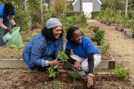 African American volunteers kneeling, planting seedlings with hand trowel in community garden beds....