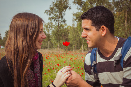 Man giving a woman single red anemone flower in anemones field.の写真素材