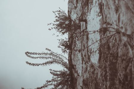 Low angle view of part of ancient stone wall.の写真素材