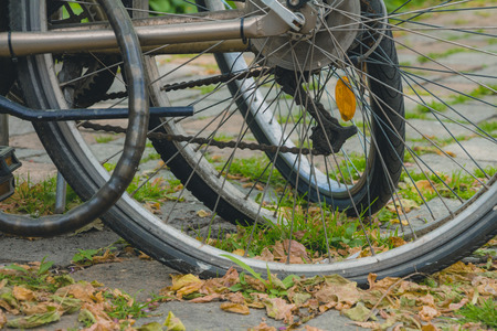 Bicycle wheels with many dry leaves on the pavement on autumn day.の写真素材
