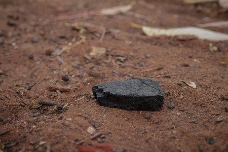 Piece of burnt wood coal on the ground.