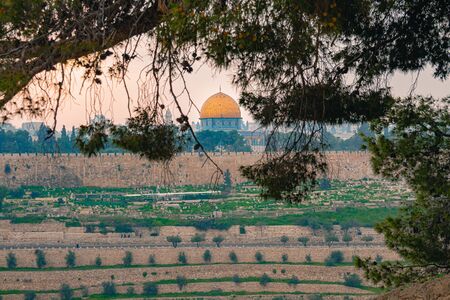 Panoramic view of Jerusalem old city and the Temple Mount through a tree during a dramatic colorful sunset. A view of the Dome of the Rock and Al Aqsa Mosque from the Mount of Olives in Jerusalem, Israel.の写真素材