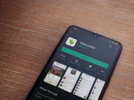 Lod, Israel - July 8, 2020: iNaturalist app play store page on the display of a black mobile smartphone on wooden background. Top view flat lay with copy space.のeditorial素材