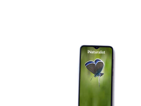 Lod, Israel - July 8, 2020: iNaturalist app launch screen with logo on the display of a black mobile smartphone isolated on white background. Top view flat lay with copy space.のeditorial素材